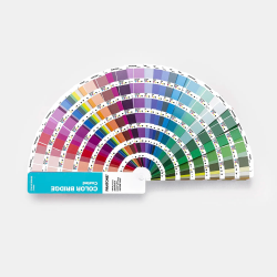 Color Bridge Guide Coated