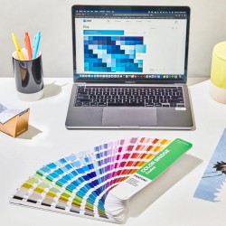 Color Bridge Guide Coated